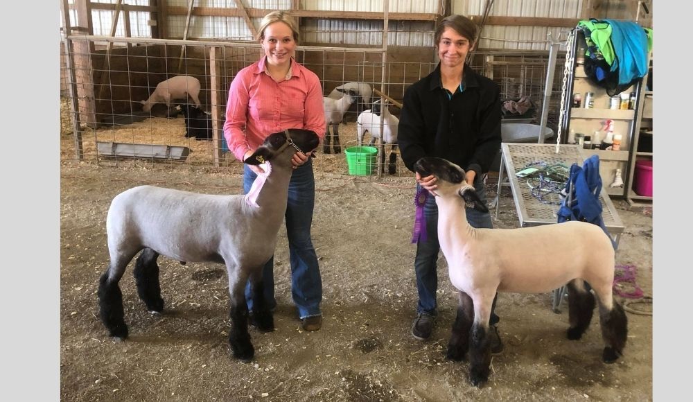 SheepWinners_AJ_2021.jpg
